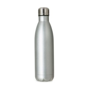 Garrafa 750ml Inox — Prata